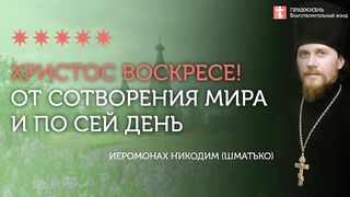 2020.05.24 Евангелие дня.Прозрение может быть только в Истине #проповедь иеромонах Никодим (Шматько)