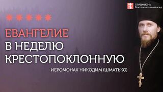 2020.03.22 Евангелие дня. Притча о виноградаре и работниках #проповедь иеромонах Никодим (Шматько)