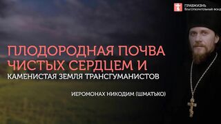 2019.10.27 Притча о сеятеле. О семени, посеянном при дороге #проповедь иеромонаха Никодима (Шматько)