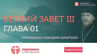 2020.05.31 Евангелие от Иоанна. Просвещающая и освящающая благодать #иеромонах Никодим (Шматько)