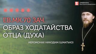 2020.03.29 Евангелие дня. Преображение человеческой души. #проповедь иеромонах Никодим (Шматько)