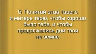 Вводный фильм-лекция. "Основы православия" с о. Никодимом (Шматько).