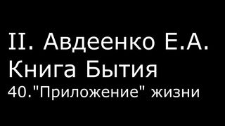 ІІ. Авдеенко Е. А. - Книга Бытия - 40. Приложение жизни