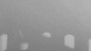 009. История России. ХХ век. Столыпин