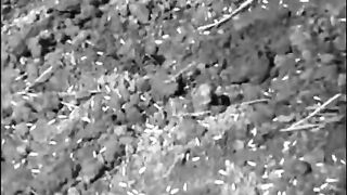 045. История России. ХХ век. Барон Врангель