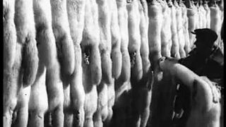 052. История России. ХХ век. Голод 20-х годов XX века