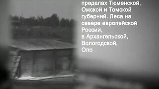 078. История России. ХХ век. Генезис II Мировой войны