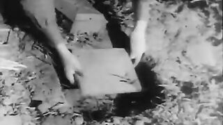 096. История России. ХХ век. Битва за Кавказ