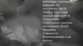 113. История России. ХХ век. На берегу холодных вод. Удары восьмой и десятый