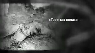 049. История России. ХХ век. Каратели