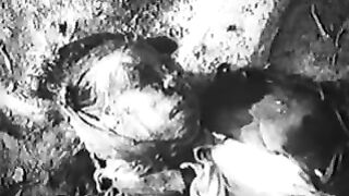 032. История России. ХХ век. Одержимые кровью