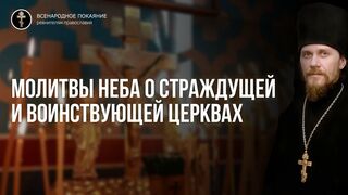 Радонеца. Торжествующая - небесная и воинствующая - земная Церковь ныне особо молится о своей страждущей церкви 2020.04.28