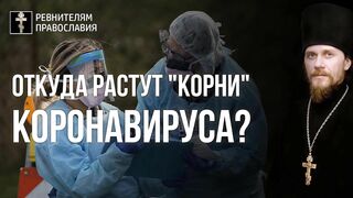 Радонеца. Торжествующая - небесная и воинствующая - земная Церковь ныне особо молится о своей страждущей церкви 2020.04.28