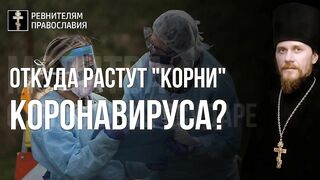 Неделя о расслабленном Ев. Мф 56 зач, Ин 14 зач. Учение о Посреднике - Богочеловеке. прав. Иов гл. 19 Я знаю Искупитель мой жив 2021.05.23