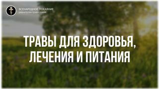 Лечение травами. Как выжить и сохранить здоровье? Ответит на вопрос самая известная православная травница Елена Федоровна Зайцева, 2016+