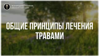 Фильм 1 (из 8). О ЛЕЧЕНИИ ТРАВАМИ. Общие принципы - Полный цикл бесед. православная травница - Е.Ф. Зайцева