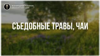 Фильм 2 (из 8). О ЛЕЧЕНИИ ТРАВАМИ. Съедобные травы и чаи - Полный цикл бесед. православная травница - Е.Ф. Зайцева