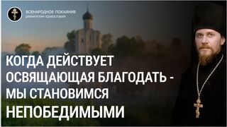 Миссия святости ОСВЯЩАЮЩЕЙ благодати. За Русь святую, самодержавную и ее ЦПЦ - царскую православную церковь 2022.06.19