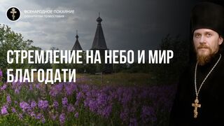 Равноап. кн.Ольги. Господь просит от нас рыбу-ВЕРЫ и медовые соты-СОВЕСТИ, возвращая мир благодатного неба свободы. Ев. Лк 114 зач, 2022.07.24