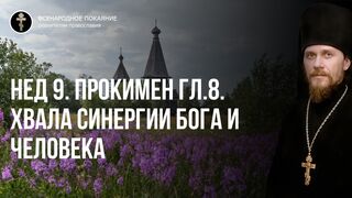 Нед.9. Прокимен гл. 8. Вечная хвала литургии союза - синергии и симфонии Бога и человека, 2022.08.14