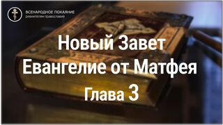 Новый Завет. Евангелие от Матфея. Глава 3. С текстом