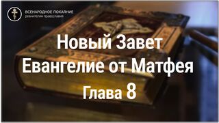 Новый Завет. Евангелие от Матфея. Глава 8. С текстом