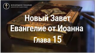 Новый Завет. Евангелие от Иоанна. Глава 15. С текстом